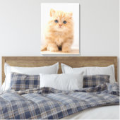 Kutest Baby Animals | Een Britse Longhair Kitten Canvas Afdruk (Insitu (Slaapkamer))