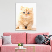 Kutest Baby Animals | Een Britse Longhair Kitten Canvas Afdruk (Insitu (Woonkamer))