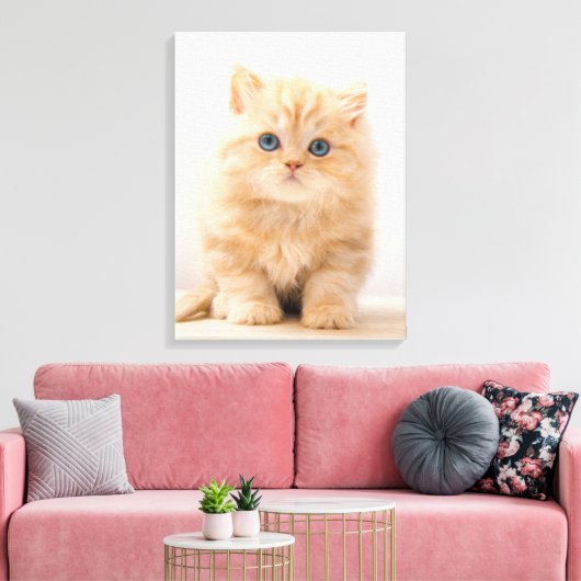 Kutest Baby Animals | Een Britse Longhair Kitten Canvas Afdruk (Insitu (Woonkamer))