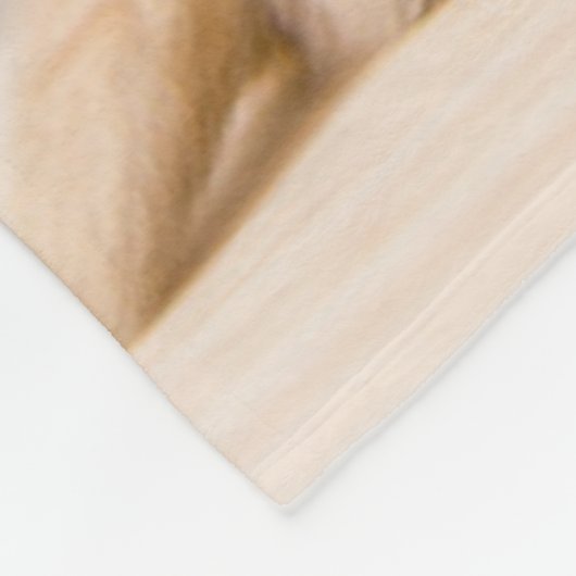 Kutest Baby Animals | Een Britse Longhair Kitten Fleece Deken (Hoek)