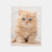 Kutest Baby Animals | Een Britse Longhair Kitten Fleece Deken (Voorkant)