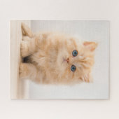 Kutest Baby Animals | Een Britse Longhair Kitten Legpuzzel (Horizontaal)