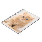 Kutest Baby Animals | Een Britse Longhair Kitten Notitieboek (Linkerzijde)