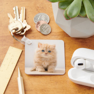 Kutest Baby Animals   Een Britse Longhair Kitten Sleutelhanger