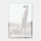 Kutest Baby Animals | Een familie van Meerkats Post-it® Notes (Voorkant)