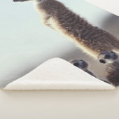 Kutest Baby Animals | Een familie van Meerkats Sherpa Deken (3/4)