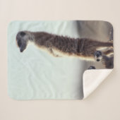 Kutest Baby Animals | Een familie van Meerkats Sherpa Deken (Voorkant (horizontaal))