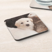 Kutest Baby Animals | Een klapstapel Puppies Bier Onderzetter (Linkerzijde)