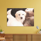 Kutest Baby Animals | Een klapstapel Puppies Canvas Afdruk (Insitu (Woonkamer))