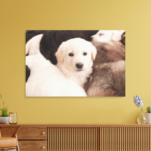 Kutest Baby Animals | Een klapstapel Puppies Canvas Afdruk (Insitu (Woonkamer))