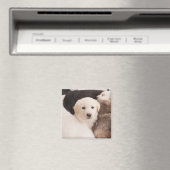 Kutest Baby Animals | Een klapstapel Puppies Magneet (Insitu (Vaatwasser))