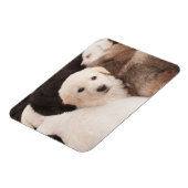 Kutest Baby Animals | Een klapstapel Puppies Magneet (Linkerzijde)