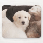 Kutest Baby Animals | Een klapstapel Puppies Muismat (Voorkant)