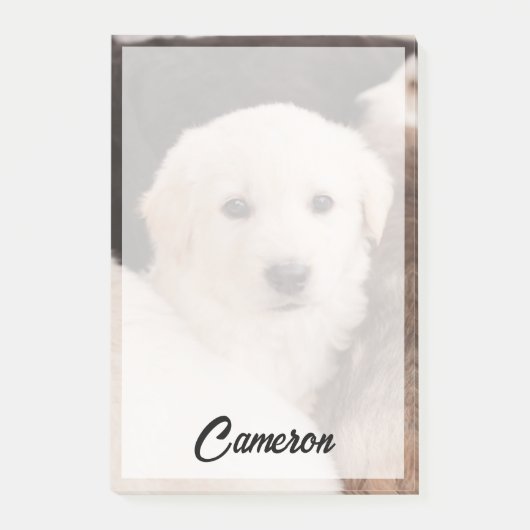 Kutest Baby Animals | Een klapstapel Puppies Post-it® Notes (Voorkant)