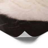 Kutest Baby Animals | Een klapstapel Puppies Poster (Hoek)