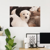 Kutest Baby Animals | Een klapstapel Puppies Poster (Thuiskantoor)