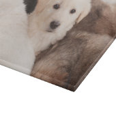 Kutest Baby Animals | Een klapstapel Puppies Snijplank (Hoek)