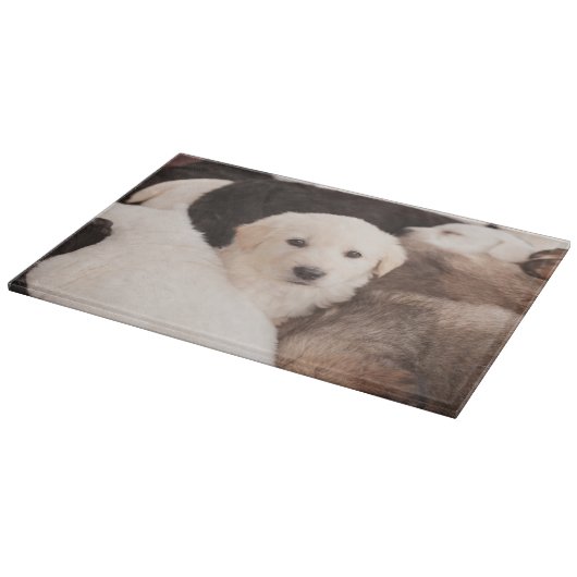 Kutest Baby Animals | Een klapstapel Puppies Snijplank (Hoek)