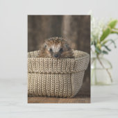 Kutest Baby Animals | Egel in een mand Bedankkaart (Staand voorkant)