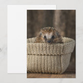 Kutest Baby Animals | Egel in een mand Bedankkaart (Voorkant / Achterkant)