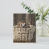 Kutest Baby Animals | Egel in een mand Briefkaart (Staand voorkant)