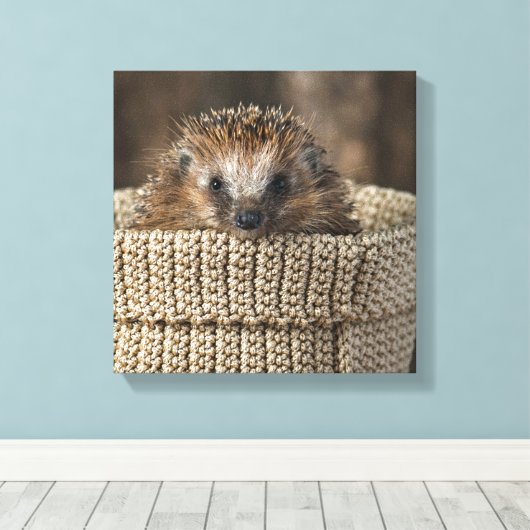 Kutest Baby Animals | Egel in een mand Canvas Afdruk (Insitu (Houten vloer))