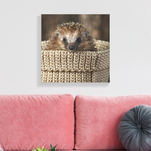 Kutest Baby Animals | Egel in een mand Canvas Afdruk (Insitu (Woonkamer))