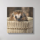 Kutest Baby Animals | Egel in een mand Canvas Afdruk (Voorkant)