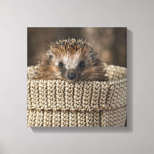 Kutest Baby Animals | Egel in een mand Canvas Afdruk (Voorkant)