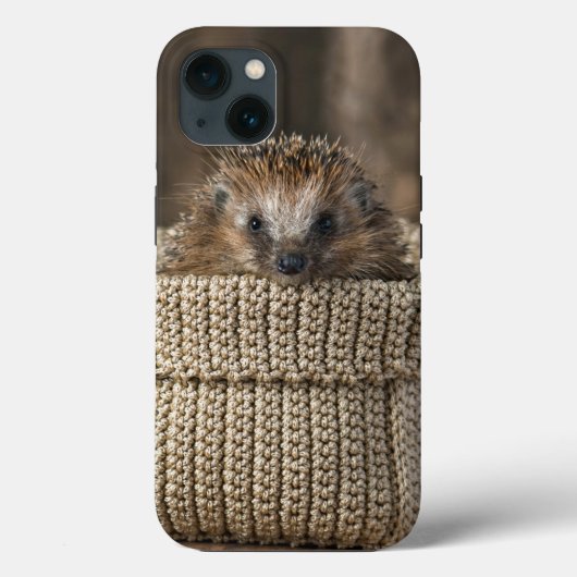 Kutest Baby Animals | Egel in een mand Case-Mate iPhone Case (Achterkant)