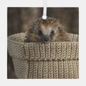 Kutest Baby Animals | Egel in een mand Glas Ornament (Achterkant)