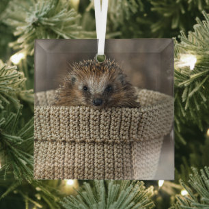 Kutest Baby Animals Egel in een mand Glas Ornament