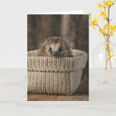 Kutest Baby Animals | Egel in een mand Kaart (Gele Bloem)