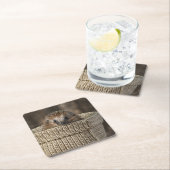 Kutest Baby Animals | Egel in een mand Kartonnen Onderzetters (Insitu)