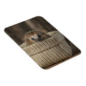 Kutest Baby Animals | Egel in een mand Magneet (Rechterzijde)