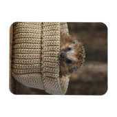 Kutest Baby Animals | Egel in een mand Magneet (Horizontaal)