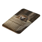 Kutest Baby Animals | Egel in een mand Magneet (Linkerzijde)