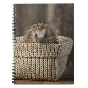 Kutest Baby Animals   Egel in een mand Notitieboek