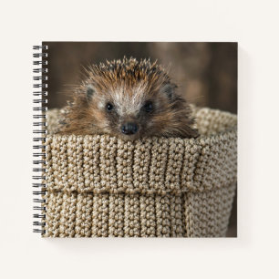 Kutest Baby Animals Egel in een mand Notitieboek