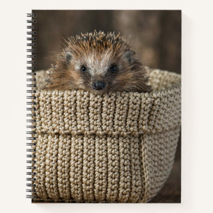 Kutest Baby Animals Egel in een mand Notitieboek