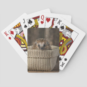 Kutest Baby Animals   Egel in een mand Pokerkaarten