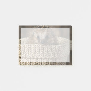Kutest Baby Animals Egel in een mand Post-it® Notes