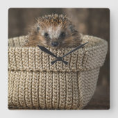 Kutest Baby Animals | Egel in een mand Vierkante Klok (Voorkant)