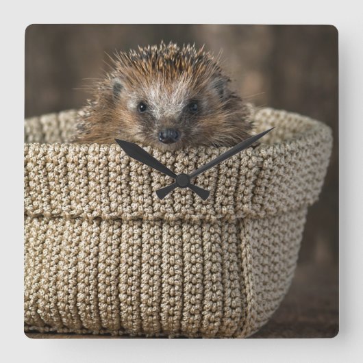 Kutest Baby Animals | Egel in een mand Vierkante Klok (Voorkant)