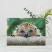 Kutest Baby Animals | Egel Smile Bedankkaart (Staand voorkant)