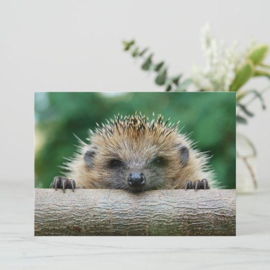 Kutest Baby Animals | Egel Smile Bedankkaart (Staand voorkant)