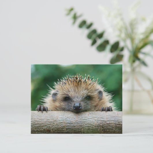 Kutest Baby Animals | Egel Smile Briefkaart (Staand voorkant)