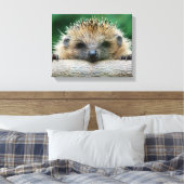 Kutest Baby Animals | Egel Smile Canvas Afdruk (Insitu (Slaapkamer))