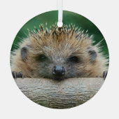 Kutest Baby Animals | Egel Smile Glas Ornament (Achterkant)