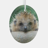 Kutest Baby Animals | Egel Smile Glas Ornament (Voorkant Rechts)